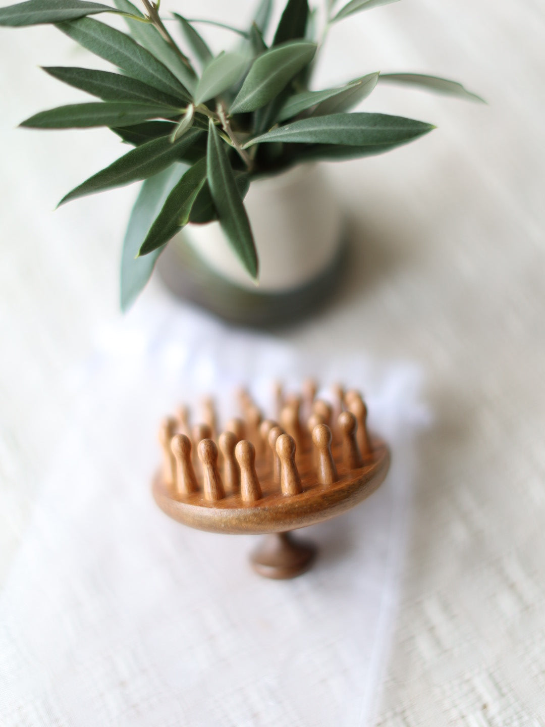 Wooden scalp massage brush