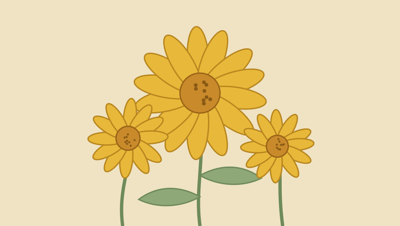 Arnica